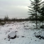 Boulder-Lonesome-Grouse-2